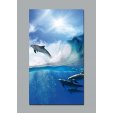 Dolphins Wall Posters