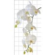 Flowers - Tiles Wall Stickers