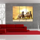Horses - Triptych Forex Print