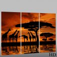 Africa - Triptych Forex Print