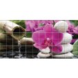 Flower Pebbles - Tiles Wall Stickers