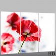 Flower - Triptych Forex Print