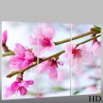 Flower - Triptych Forex Print