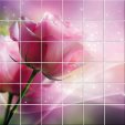 Flowers - Tiles Wall Stickers