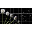 Flowers - Tiles Wall Stickers