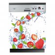 Fruits - Dishwasher Cover Panels