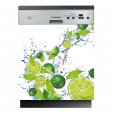 Fruits - Dishwasher Cover Panels