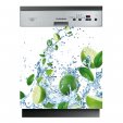 Fruits - Dishwasher Cover Panels