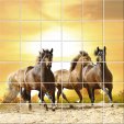 Horse - Tiles Wall Stickers