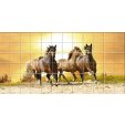 Horse - Tiles Wall Stickers