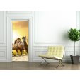 Horses Door Stickers