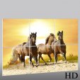 Horses - Triptych Forex Print