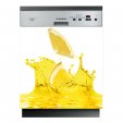 Lemon - Dishwasher Cover Panels