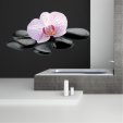 Orchid Pebbles Wall Stickers