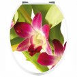 Orchid - Toilet Seat Decal Sticker