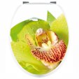 Orchid - Toilet Seat Decal Sticker