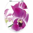 Orchid - Toilet Seat Decal Sticker