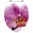 Orchid - Toilet Seat Decal Sticker