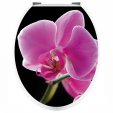 Orchid - Toilet Seat Decal Sticker