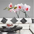 Orchid Wall Stickers