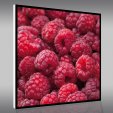 Raspberries - Forex Print