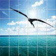 Seagull - Tiles Wall Stickers