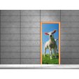 Sheep Door Stickers