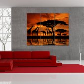 Africa - Triptych Forex Print