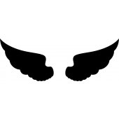 Angel - Decal Sticker for Ipad 2