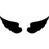 Angel - Decal Sticker for Ipad 3