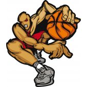 Basketball Player Wall Stickers