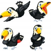 Bird Set Wall Stickers