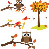 Birds and Owls Set Wall Stickers