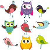 Birds and Owls Set Wall Stickers