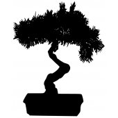 Bonsai Wall Stickers