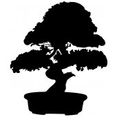 Bonsai Wall Stickers