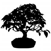 Bonsai Wall Stickers