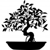 Bonsai Wall Stickers