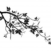 Branch Wall Stickers
