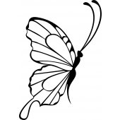 butterfly - Decal Sticker for Ipad 2