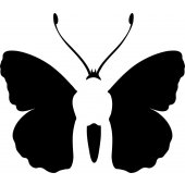 butterfly - Decal Sticker for Ipad 3