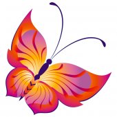 Butterfly Wall Stickers