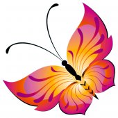 Butterfly Wall Stickers