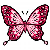 Butterfly Wall Stickers