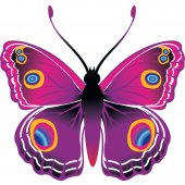 Butterfly Wall Stickers