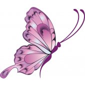 Butterfly Wall Stickers