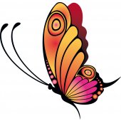 Butterfly Wall Stickers