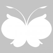 Butterfly - Whiteboard Wall Stickers
