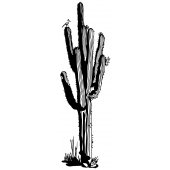 Cactus Wall Stickers