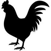 Cock - Chalkboard / Blackboard Wall Stickers